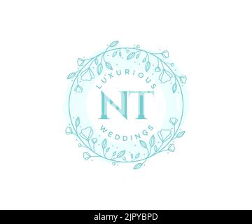 NT initiales lettre mariage monogramme logos modèle, dessin à la main moderne minimalistes et modèles floraux pour cartes d'invitation, Save the Date, élégant Illustration de Vecteur