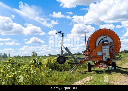 Irrigation d'un champ de tournesol dans la commune de Negrepelisse en 82. France, Tarn-et-Garonne, sur 17 août 2022. La France est confrontée à ce que le gouvernement a averti de sa pire sécheresse jamais enregistrée. Certains agriculteurs français ont commencé à observer une baisse de production, notamment pour le soja, le tournesol et le maïs. Les restrictions en vigueur en matière d'eau vont de l'interdiction d'irrigation de jour à la limitation de l'utilisation de l'eau aux personnes, au bétail et au maintien en vie des espèces aquatiques. Photo de Patricia Huchot-Boissier/ABACAPRESS.COM Banque D'Images