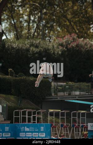 Rome, Italie. 20th août 2022. Championnats d'aquagym européens hommes de 3 mètres. Tocci, Laugher, Marsaglia remporte les premières places pour participer à la finale.Lorenzo Marsaglia plongées à partir de 3 mètres.Lorenzo Marsaglia plongées à partir de 3 mètres.il se qualifie pour la finale aspirant au podium (Credit image: © Gabriele Pallai-Studio Pallai/Pacific Press via ZUMA Press Wire) Banque D'Images