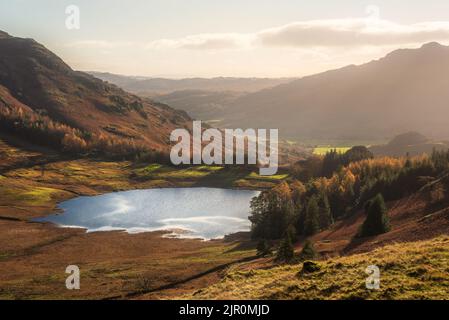 Superbe image de paysage d'automne vibrant regardant de Pike O'Blisco vers Blea Tarn avec beau soleil sur les montagnes et la vallée Banque D'Images