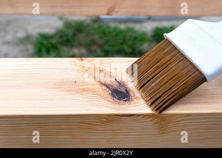 La femme imprègne des poutres de pin en bois rabotées avec des dimensions de 100x100mm avec une imprégnation incolore. Banque D'Images