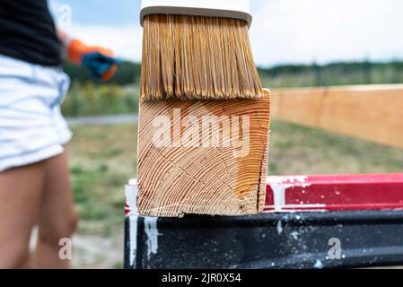 La femme imprègne des poutres de pin en bois rabotées avec des dimensions de 100x100mm avec une imprégnation incolore. Banque D'Images