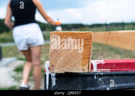 La femme imprègne des poutres de pin en bois rabotées avec des dimensions de 100x100mm avec une imprégnation incolore. Banque D'Images