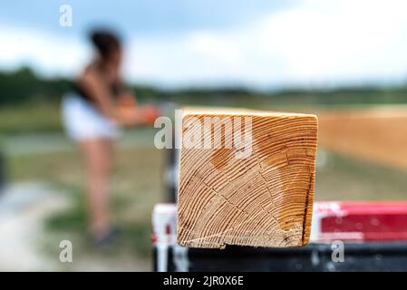 La femme imprègne des poutres de pin en bois rabotées avec des dimensions de 100x100mm avec une imprégnation incolore. Banque D'Images