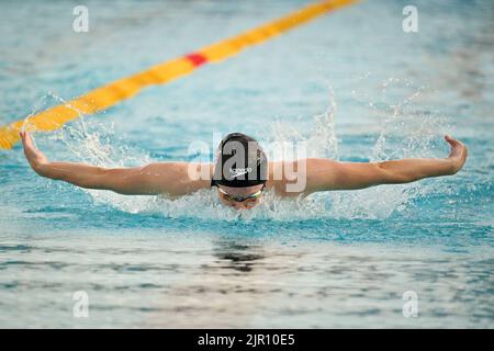 Rome, Italie. 17th août 2022. Rome, 17 août 2022 Championnats d'Europe de natation à Rome 2022 sur la photo: Laura Kathleen Sthephens (GBR) lors des Championnats d'Europe de natation de Rome 2022 à Foro Italico Rome, 17 août 2022 Championnats d'Europe de natation à Rome 2022 en photo: Laura Kathleen Sthephens (GBR) pendant les Championnats d'Europe de l'AQUESTATION Rome 2022 au Foro Italico crédit: Agence de photo indépendante/Alamy Live News Banque D'Images