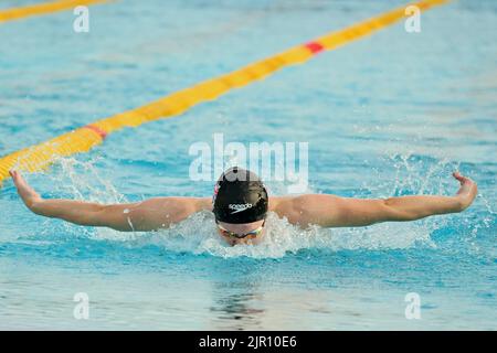 Rome, Italie. 17th août 2022. Rome, 17 août 2022 Championnats d'Europe de natation à Rome 2022 sur la photo: Laura Kathleen Sthephens (GBR) lors des Championnats d'Europe de natation de Rome 2022 à Foro Italico Rome, 17 août 2022 Championnats d'Europe de natation à Rome 2022 en photo: Laura Kathleen Sthephens (GBR) pendant les Championnats d'Europe de l'AQUESTATION Rome 2022 au Foro Italico crédit: Agence de photo indépendante/Alamy Live News Banque D'Images