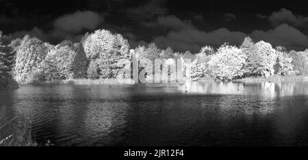 Autour du Royaume-Uni - image infrarouge des arbres et de l'eau à l'arboretum de Bodenham, Banque D'Images