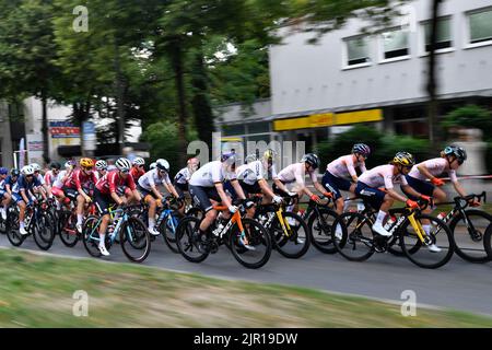 Wolfratshausen, Allemagne. 21st août 2022. Championnats d'Europe, Championnat d'Europe, cyclisme, course, femmes, le peloton en action. Credit: Marius Becker/dpa-Pool/dpa/Alay Live News Banque D'Images