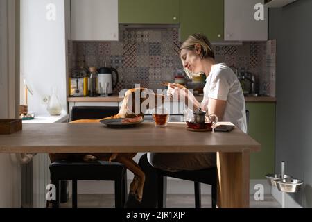 Bonne femme mûre essaie de nourrir le chien avec un sandwich et sourires assis à la table de cuisine Banque D'Images