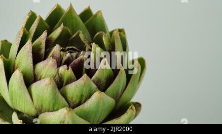 Gros plan tête de vert frais artichaut, florissant cinara sur un fond gris.fleurs pour créer un bouquet en floristry.cuisine italienne, légumes, délicatesse.C Banque D'Images