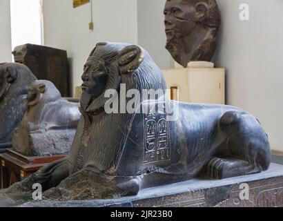 Le Caire, Musée égyptien, sphinx d'Amenemhat III, plus tard usurpé, trouvé à Tanis. Relativement inhabituel comme sa tête a des traits de lion (manie). Banque D'Images