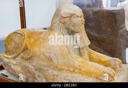 Le Caire, Musée égyptien, sphinx de Hatshepsut, relativement inhabituel comme sa tête a des traits de lion (manie), alors que ce n'est généralement que son corps. Banque D'Images