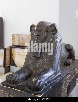 Le Caire, Musée égyptien, sphinx d'Amenemhat III, plus tard usurpé, trouvé à Tanis. Relativement inhabituel comme sa tête a des traits de lion (manie). Banque D'Images