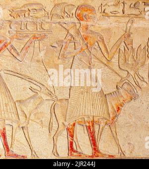 Égypte, Saqqara, tombeau de Horemheb, salle de la statue, procession des porteurs d'offrande. Banque D'Images
