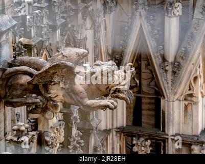Gros plan d'un gargouille décorant une cathédrale de Milan Banque D'Images