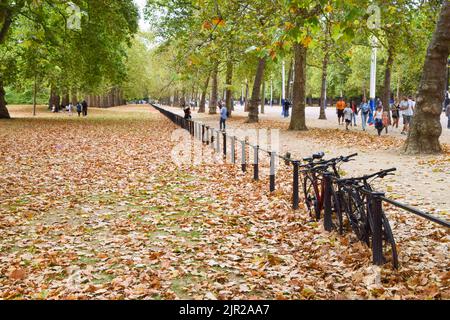 Londres, Royaume-Uni. 21st août 2022. Des feuilles mortes couvrent le parc St James dans le centre de Londres, ressemblant à l'automne. Les vagues de chaleur et les conditions de sécheresse résultant du changement climatique provoquent le départ précoce des arbres. Credit: Vuk Valcic/Alamy Live News Banque D'Images