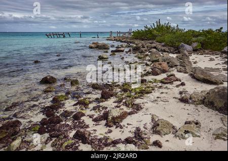 Détail de la côte mexicaine de la Riviera Maya sur la plage de Xpu-Ha : une belle plage naturelle surplombant la mer des Caraïbes. Banque D'Images