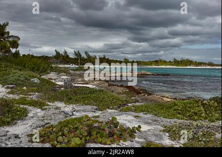 Détail de la côte mexicaine de la Riviera Maya sur la plage de Xpu-Ha : une belle plage naturelle surplombant la mer des Caraïbes. Banque D'Images