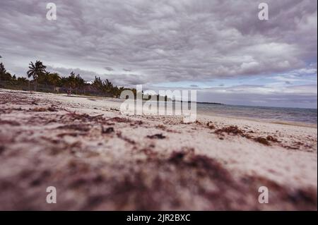 Vue depuis le sol de sable blanc et la plage de Xpu-ha au Mexique Banque D'Images