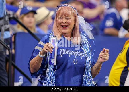 Indianapolis, Indiana, États-Unis. 20th août 2022. Les fans faisaient la fête tôt pendant l'échauffement pour le match de pré-saison entre les Detroit Lions et les Indianapolis Colts au Lucas Oil Stadium, Indianapolis, Indiana. (Image de crédit : © Scott Stuart/ZUMA Press Wire) Banque D'Images