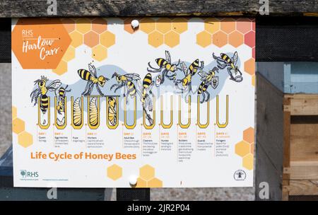 Tableau d'information des visiteurs sur les abeilles à RHS Garden Harlow Carr, Crag Lane, Beckwithshaw, Harrogate, Yorkshire, Angleterre, Royaume-Uni Banque D'Images