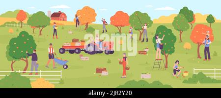 Personnes cueillant des pommes. Les agriculteurs récoltant des pommiers dans la production de verger, la famille cueillit des fruits d'automne mûrs sains jardin agriculture, illustration vectorielle de la récolte agriculture paysanne Illustration de Vecteur