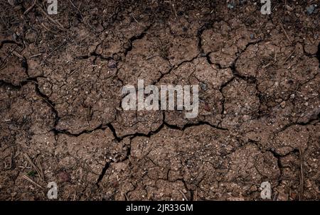 Arrière-plan brouillon. Surface séchée fissurée du champ agricole, vue du dessus Banque D'Images
