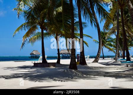 Une plage tropicale avec sable blanc, palmiers, chaises longues, palapas, et un quai, Avec ciel bleu et eau sur Ambergris Caye, San Pedro, Belize. Banque D'Images