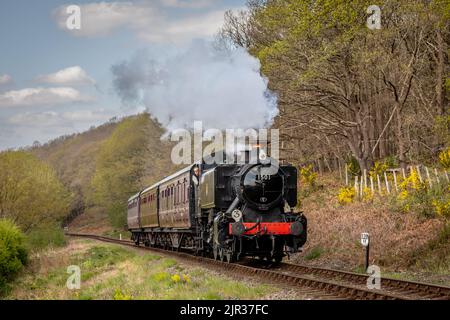BR '1500' classe 0-6-0PT N° 1501 passe par Norrthwood Lane sur le chemin de fer Severn Valley, Worcestershire Banque D'Images