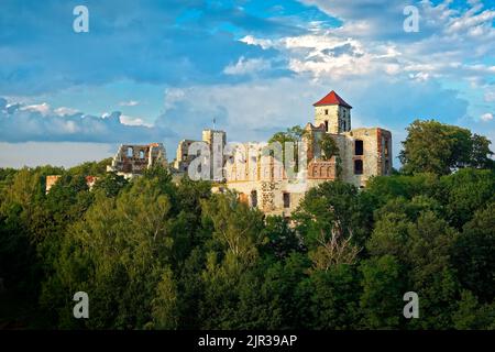 Le château de Tenczyn est un château médiéval dans le village de Rudno dans le Jura polonais, en Pologne, pillé et brûlé par les forces suédoises-Brandenburgiennes, se dresse sur le rem Banque D'Images
