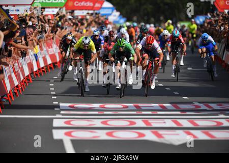 Breda, pays-Bas, 21/08/2022, Irlandais Sam Bennett de Bora-Hansgrohe (au centre) à la fin de la phase 3 de l'édition 2022 de 'Vuelta a Espana', Tour d'Espagne course cycliste, 193,5 km de Breda à Breda aux pays-Bas, dimanche 21 août 2022. BELGA PHOTO LUC CLAESSEN Banque D'Images