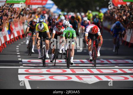 Breda, pays-Bas, 21/08/2022, l'irlandais Sam Bennett de Bora-Hansgrohe (au centre) franchit la ligne d'arrivée de la phase 3 de l'édition 2022 de 'Vuelta a Espana', Tour d'Espagne, 193,5 km de Breda à Breda aux pays-Bas, dimanche 21 août 2022. BELGA PHOTO LUC CLAESSEN Banque D'Images