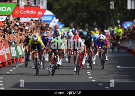 Breda, pays-Bas, 21/08/2022, Irlandais Sam Bennett de Bora-Hansgrohe (au centre) à la fin de la phase 3 de l'édition 2022 de 'Vuelta a Espana', Tour d'Espagne course cycliste, 193,5 km de Breda à Breda aux pays-Bas, dimanche 21 août 2022. BELGA PHOTO LUC CLAESSEN Banque D'Images