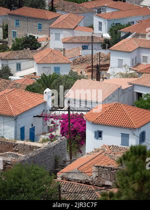 Villas blanches grecques avec toits en terre cuite en été entourées de fleurs roses et d'arbres Banque D'Images