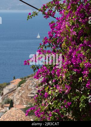 Fleurs de bougainvilliers roses sur l'île grecque avec mer Égée, toits en terre cuite et bateau à voile en arrière-plan Banque D'Images