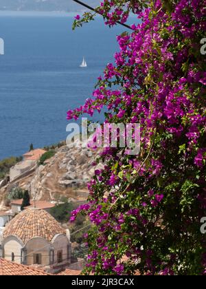 Fleurs de bougainvilliers roses sur l'île grecque avec mer Égée, toits en terre cuite et bateau à voile en arrière-plan Banque D'Images