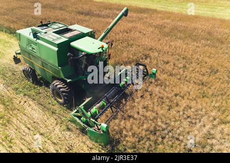 Perspective de drone sur la nouvelle moissonneuse-batteuse verte et son opérateur lors de la récolte de colza. Col bleu. Industrie alimentaire. Photo de haute qualité Banque D'Images