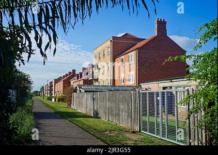 Nouvelle construction de logements au Royaume-Uni le long de la banque de Witham pendant l'été Banque D'Images