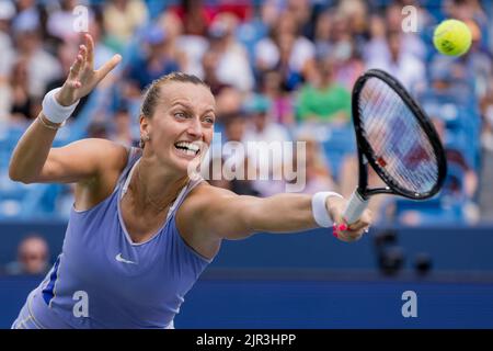 Mason, Ohio, États-Unis. 21st août 2022. PETRA KVITOVA, de la République tchèque, a tiré un coup de dos lors de la finale féminine de l'Open de l'Ouest et du Sud au Lindner Family tennis Centre. (Image de crédit : © Scott Stuart/ZUMA Press Wire) Banque D'Images