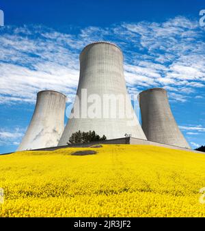Centrale nucléaire Dukovany, tour de refroidissement avec champ de floraison doré de colza, canola ou colza- République tchèque - deux possibilités de production Banque D'Images