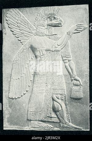 La légende de 1910 se lit comme suit: 'Déités ailées - un relief assyrien. L'original se trouve au British Museum de Londres. » Ce génie, ou demi-dieu, faisait partie d'un groupe de créatures ailées face à un arbre stylisé, une scène répétée à de nombreuses reprises dans le palais. Ils semblent exécuter des rites de fertilité associés au palmier dattier, un arbre tenu sacré par les Assyriens parce qu'il fournit de la nourriture, des boissons, du bois et un abri. Ce relief, une fois peint avec éclat, est un fragment du palais du Nord-Ouest construit par le roi assyrien Ashirnasirpal II (883—859 BCE) dans sa capitale, à Kalhu, aujourd'hui la ville irakienne de Banque D'Images