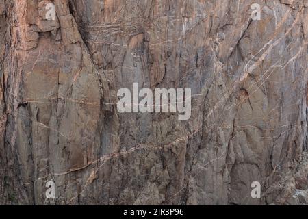 Détail d'un mur diaphane avec nervures pegmatites de Chasm View Overview, Black Canyon of the Gunnison National Park, Colorado Banque D'Images