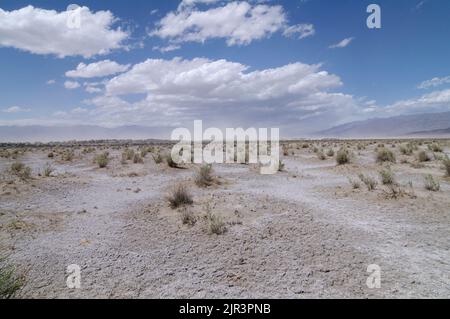 Plancher désertique de la vallée de la mort montrant une tempête de sable en arrière-plan. Journée venteuse avec ciel bleu et nuages. Banque D'Images