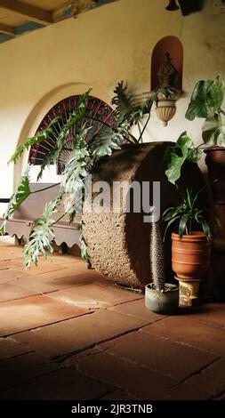 roue en pierre parmi les pots et les plantes, dans une ancienne maison au mexique amérique latine Banque D'Images