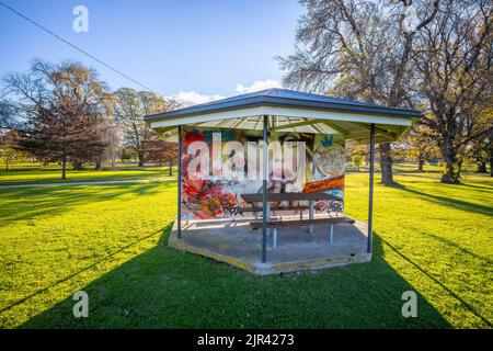 Œuvres d'art aux tables de pique-nique du parc Anzac à Glen Ines, Nouvelle-galles du Sud, australie Banque D'Images