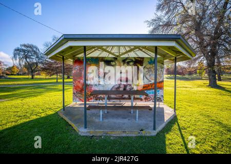 Œuvres d'art aux tables de pique-nique du parc Anzac à Glen Ines, Nouvelle-galles du Sud, australie Banque D'Images