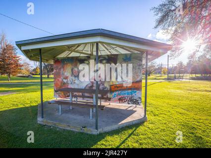 Œuvres d'art aux tables de pique-nique du parc Anzac à Glen Ines, Nouvelle-galles du Sud, australie Banque D'Images