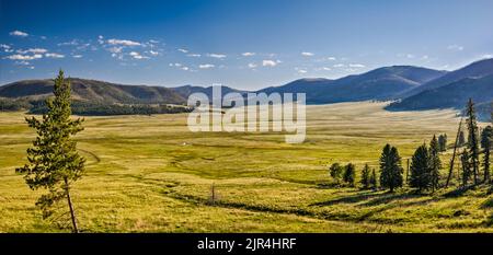 Valle Grande, Cerro del Medio à gauche, Cerro de los Posos à distance, à la réserve nationale de Valles Caldera, Nouveau-Mexique, Etats-Unis Banque D'Images