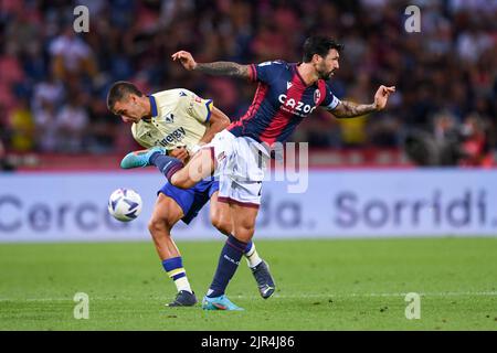 Bologne, Italie. 21st août 2022. Roberto Soriano de Bologne pendant le FC de Bologne contre Hellas Verona, football italien série A match à Bologne, Italie, 21 août 2022 crédit: Agence de photo indépendante/Alamy Live News Banque D'Images