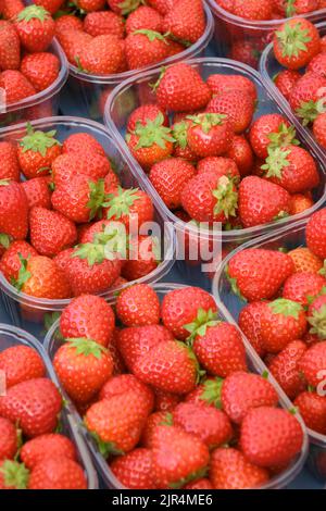 Fraises fraîches mûres dans des récipients en plastique sur un marché à vendre. Fraises dans des filets à punets transparents. Image verticale avec mise au point sélective. Banque D'Images